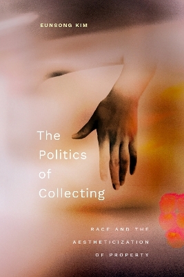 The Politics of Collecting - Eunsong Kim