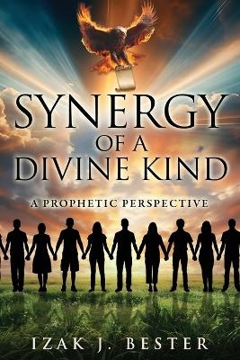 Synergy of a Divine Kind - Izak J Bester