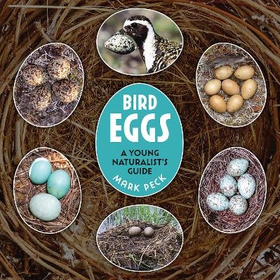 Bird Eggs - Mark Peck