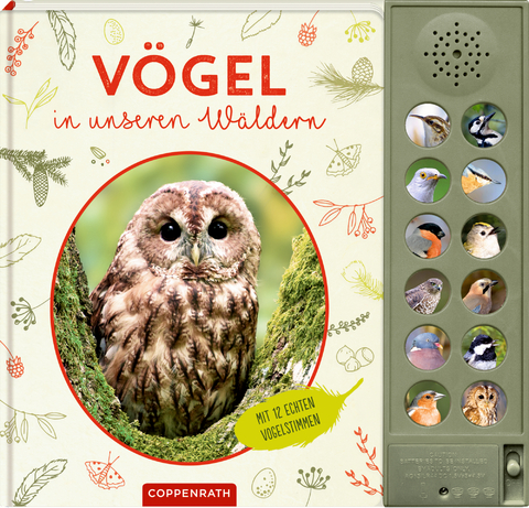 Vögel in unseren Wäldern - Holger Haag