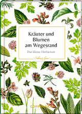 Kräuter und Blumen am Wegesrand - 