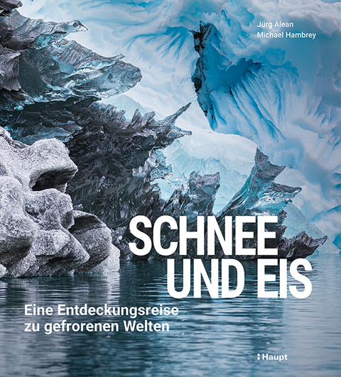 Schnee und Eis - Jürg Alean, Michael Hambrey