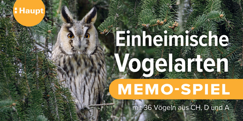 Einheimische Vogelarten – das Memo-Spiel