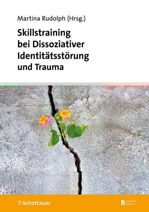 Skillstraining bei Dissoziativer Identitätsstörung und Trauma - 