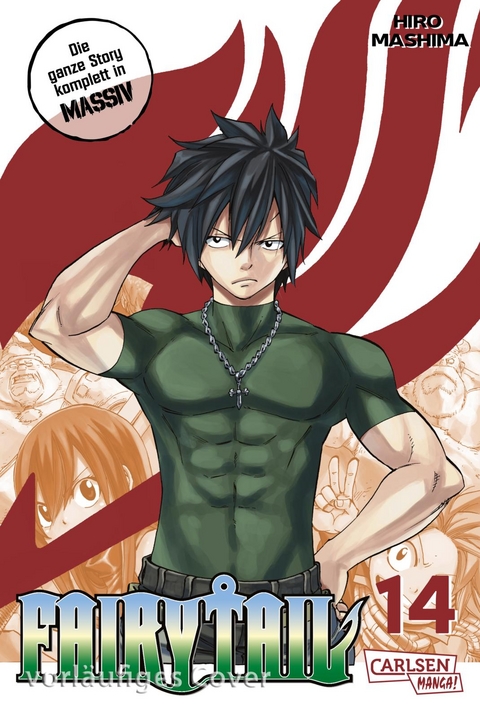 Fairy Tail Massiv 14 - Hiro Mashima