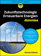 Zukunftstechnologie Erneuerbare Energien für Dummies - Michael Felleisen