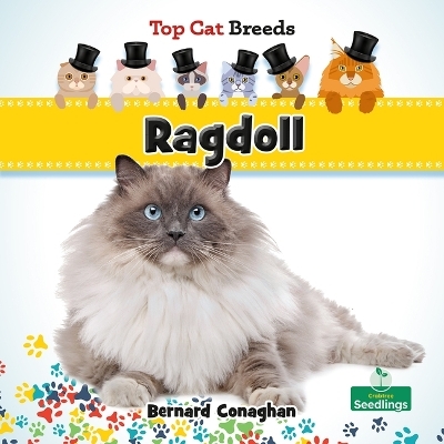 Ragdoll - Bernard Conaghan