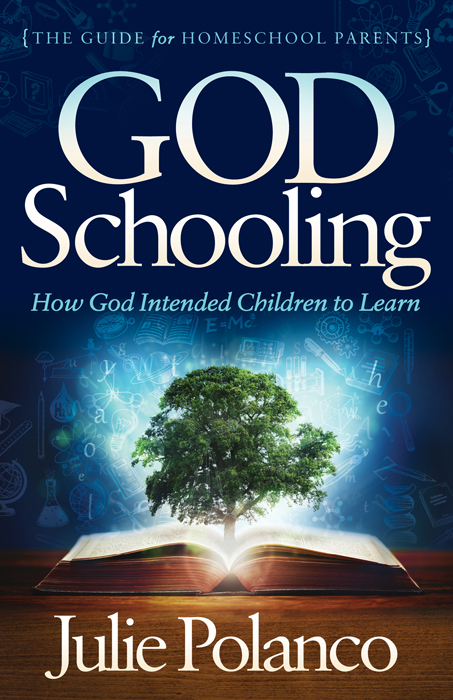 God Schooling -  Julie Polanco