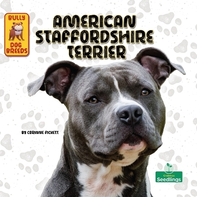 American Staffordshire Terrier - Corinne Fickett
