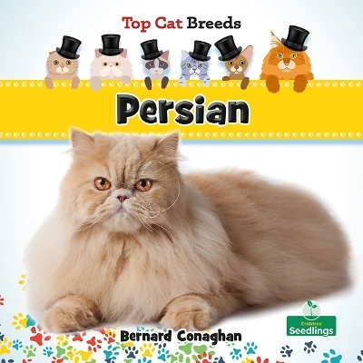 Persian - Bernard Conaghan