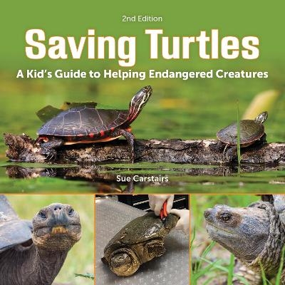 Saving Turtles - Sue Carstairs