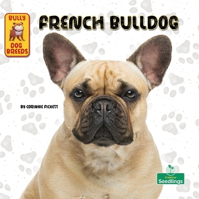 French Bulldog - Corinne Fickett