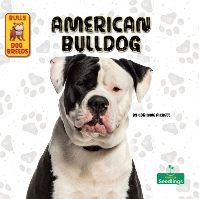 American Bulldog - Corinne Fickett