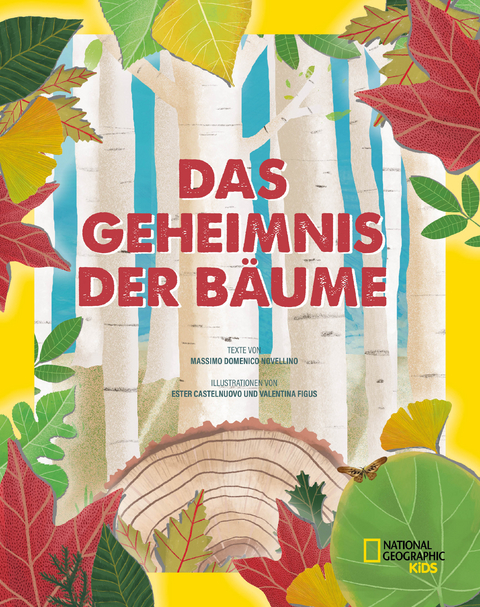 Das Geheimnis der BÃ¤ume. Ein Naturbilderbuch - Massimo Domenico Novellino