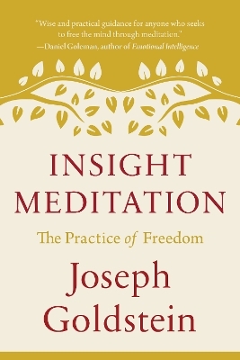 Insight Meditation - Joseph Goldstein