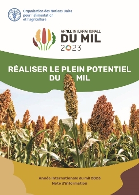 Réaliser le plein potentiel du mil -  Food and Agriculture Organization of the United Nations