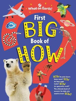 First Big Book of How - Sally Symes, Saranne Taylor