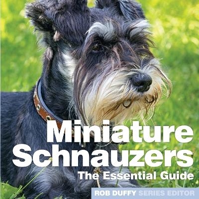 Miniture Schnauzers - 