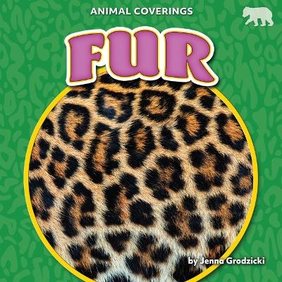 Fur - Jenna Grodzicki