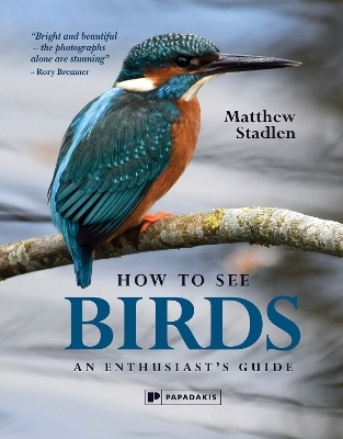 How To See Birds - Matthew Stadlen