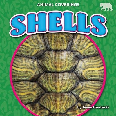 Shells - Jenna Grodzicki