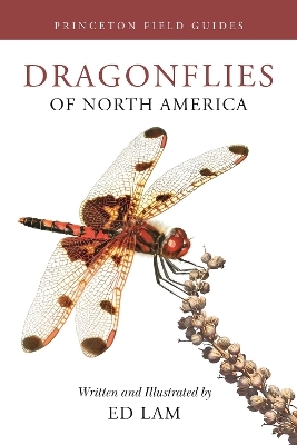 Dragonflies of North America - Ed Lam