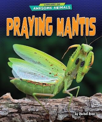 Praying Mantis - Rachel Rose