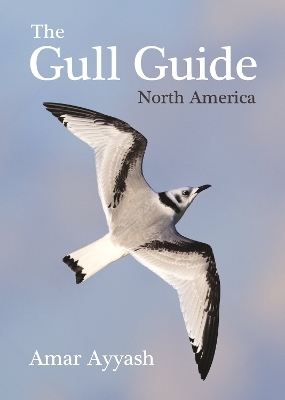 The Gull Guide - Amar Ayyash