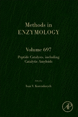 Peptide Catalysts, including Catalytic Amyloids - 