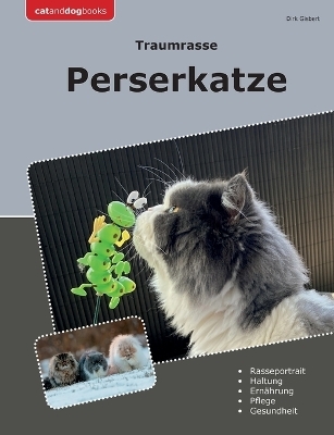 Traumrasse Perserkatze - Dirk Gisbert