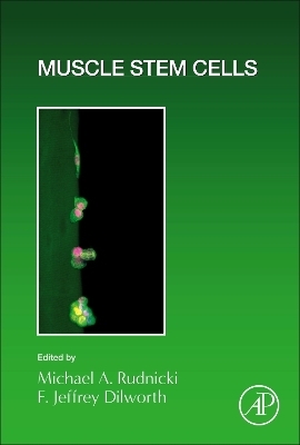 Muscle Stem Cells - 