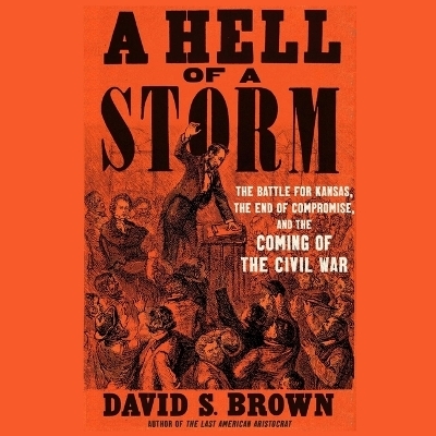 A Hell of a Storm - David S Brown