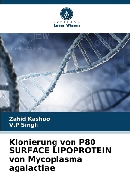 Klonierung von P80 SURFACE LIPOPROTEIN von Mycoplasma agalactiae - Zahid Kashoo, V P Singh