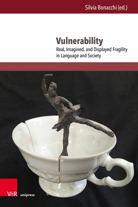 Vulnerability - 