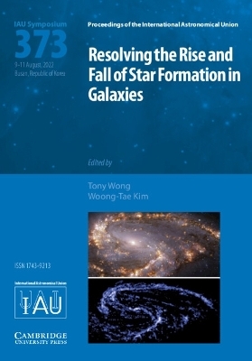 Resolving the Rise and Fall of Star Formation in Galaxies (IAU S373) - 