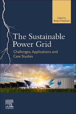 The Sustainable Power Grid - 