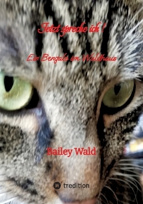 Jetzt spreche ich ! FIV Kater Bailey berichtet aus seinen Leben - Bailey Wald