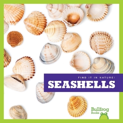 Seashells - Jenna Lee Gleisner