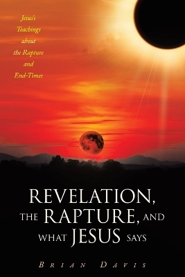 Revelation, the Rapture, and What Jesus Says - Brian Davis
