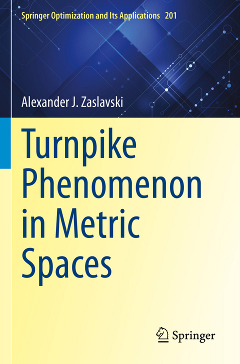 Turnpike Phenomenon in Metric Spaces - Alexander J. Zaslavski