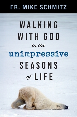 Walking with God in the Unimpressive Seasons of Life - Fr Mike Schmitz