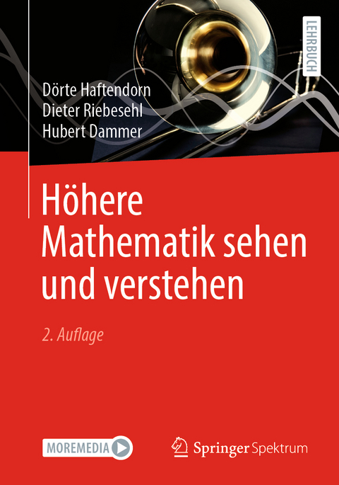 Höhere Mathematik sehen und verstehen - Dörte Haftendorn, Dieter Riebesehl, Hubert Dammer