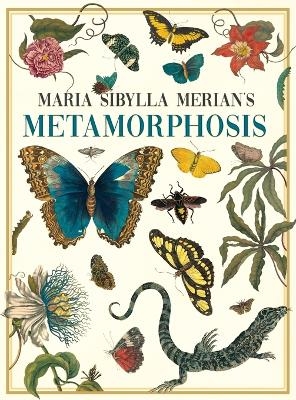 Maria Sibylla Merian's Metamorphosis - Maria Sibylla Merian