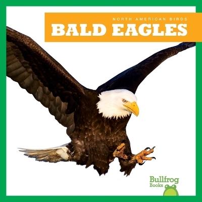 Bald Eagles - Rachel Grack