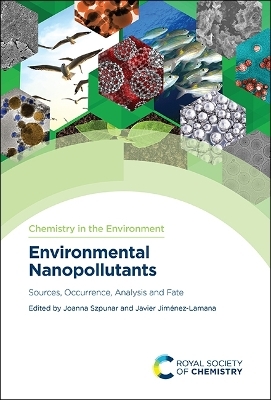 Environmental Nanopollutants - 