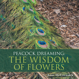 Peacock Dreaming: the Wisdom of Flowers - Anne McCormack