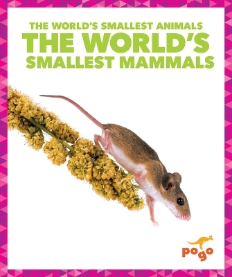 The World's Smallest Mammals - Becca Becker