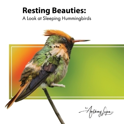 Resting Beauties - Anthony Lujan