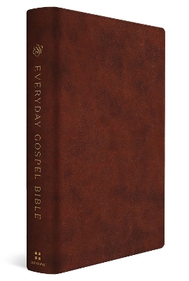 ESV Everyday Gospel Bible