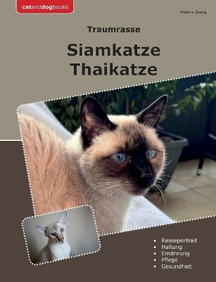 Traumrasse Siamkatze - Melanie Zwerg